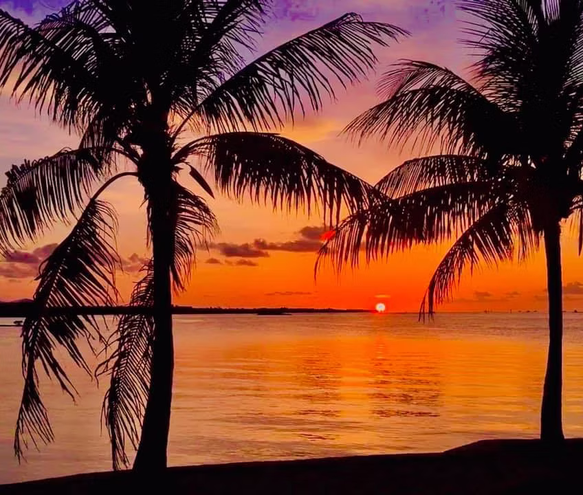 Sunset over the Florida Bay seen from the window of Vista Beauty Bar in Marathon, FL — palm tree silhouettes in the foreground